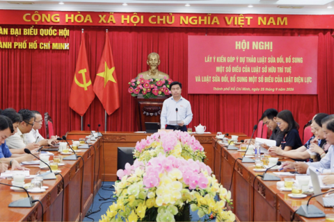 Làm rõ đầu mối quản lý, tránh khoảng trống trong sở hữu trí tuệ