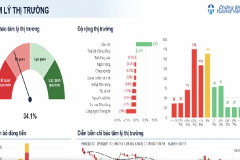 Xu hướng chứng khoán 29/9 nên theo dõi dòng dẫn dắt như dầu khí, bán lẻ