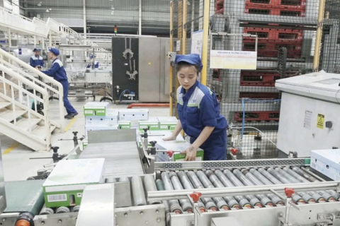Nâng tầm thương hiệu, gia tăng giá trị Việt