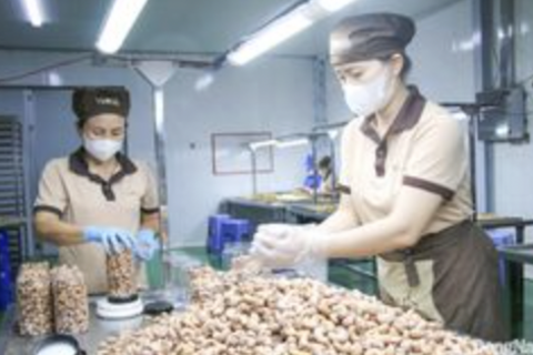 Sản phẩm OCOP và bài toán tạo sự khác biệt