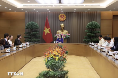 Nghiên cứu, phát triển mô hình tàu y tế theo định hướng lâu dài