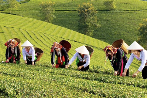 Đưa sinh kế vào trung tâm giảm nghèo vùng dân tộc thiểu số