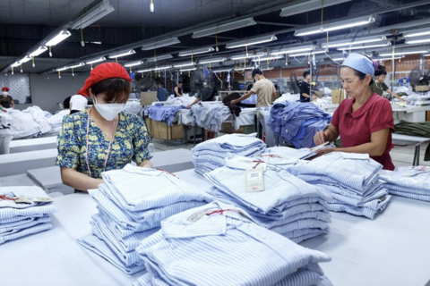 Giải pháp công nghệ cho ngành dệt kim tròn Việt Nam