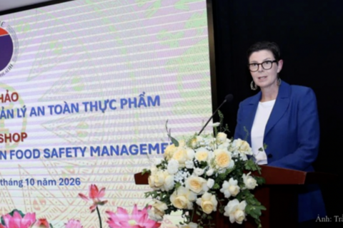 Sửa Luật An toàn thực phẩm: WHO khuyến nghị kiểm soát quảng cáo thực phẩm