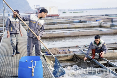Siết chặt quản lý vật tư dùng trong nuôi trồng thủy sản
