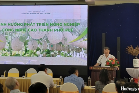 Kết nối, chuyển giao công nghệ nông nghiệp công nghệ cao