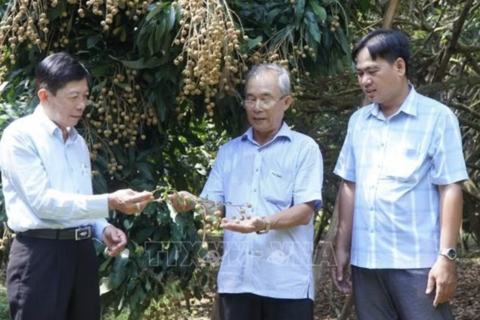 Chuyển đổi xanh và số nâng tầm thương hiệu nhãn Châu Thành