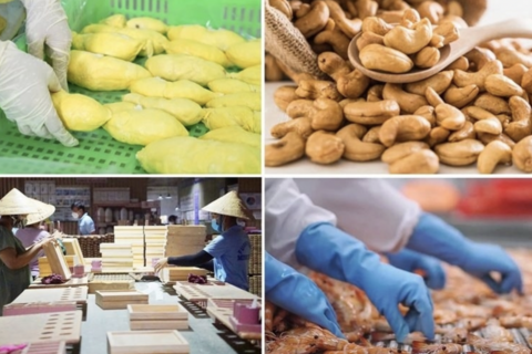 Nông nghiệp Việt Nam từ quốc gia thiếu đói đến cường quốc nông sản 70 tỷ USD