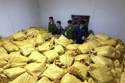 Tăng cường thực thi quyền sở hữu trí tuệ