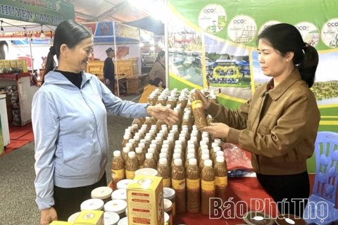 Phát triển tài sản trí tuệ - nâng tầm thương hiệu sản phẩm