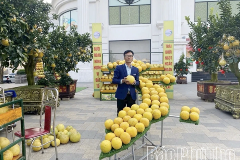 Phát triển sở hữu trí tuệ - Nâng tầm giá trị thương hiệu Đất Tổ