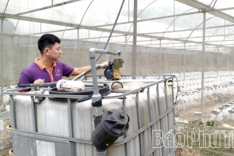 Tăng cường ứng dụng công nghệ vào sản xuất nông nghiệp