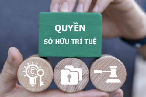Chống vi phạm sở hữu trí tuệ