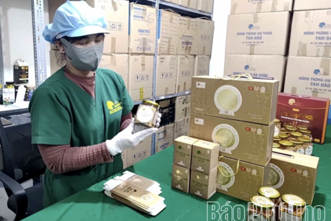 Gắn bảo vệ môi trường với phát triển sản phẩm OCOP