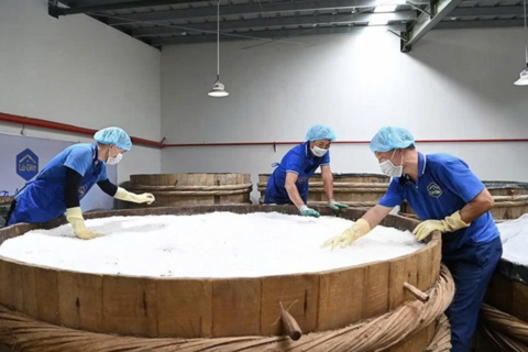 Gia tăng giá trị cho sản phẩm OCOP