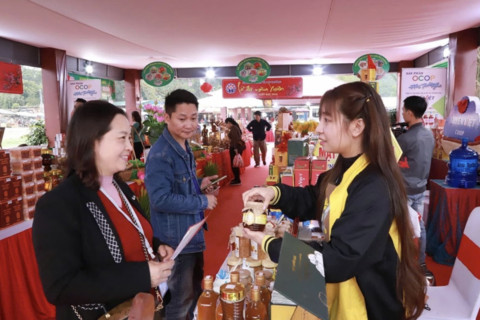 Hải Phòng đẩy mạnh thương mại điện tử, hỗ trợ tiêu thụ sản phẩm OCOP
