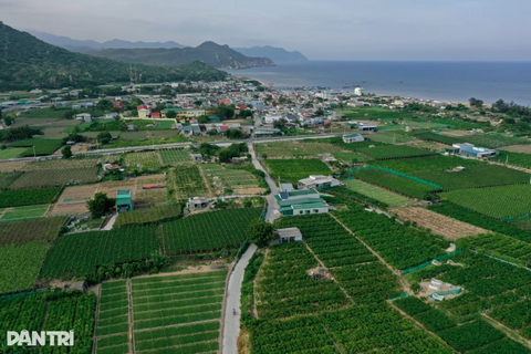 Hai dự án điện hạt nhân tại Khánh Hòa dự kiến vận hành giai đoạn 2030-2035