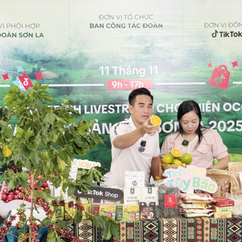 Khai thác tiềm năng kinh tế số trong quảng bá sản phẩm OCOP