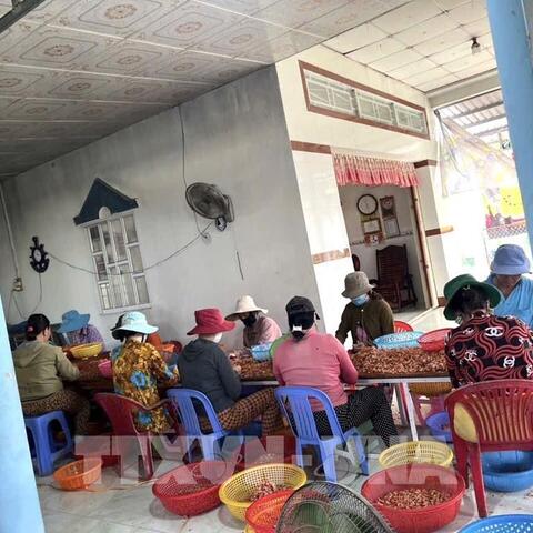 Liên kết vùng tạo lực đẩy cho doanh nghiệp Đồng bằng sông Cửu Long