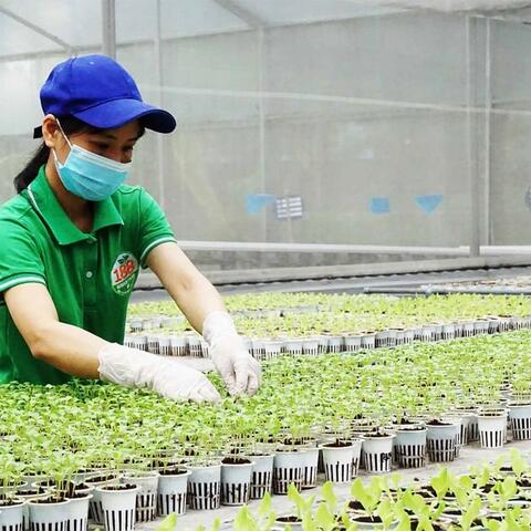 OCOP dưới góc nhìn biến đổi văn hóa sản xuất