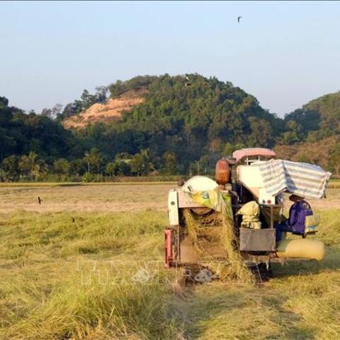 Hiện thực hóa Nghị quyết 57 bằng những cánh đồng công nghệ cao