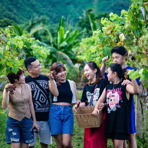 Hướng đi bền vững từ phát triển sản phẩm OCOP gắn với du lịch