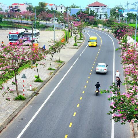 Tái cấu trúc hệ thống đô thị và nông thôn Đà Nẵng