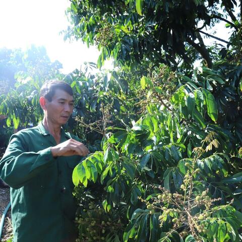 Chiềng Khương đồng hành cùng các hợp tác xã