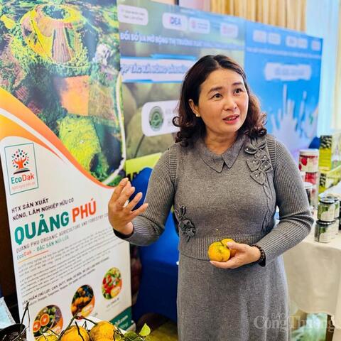 Phát triển thương mại điện tử thành động lực mới của kinh tế Lâm Đồng