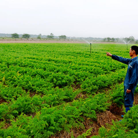 Ứng dụng công nghệ cao, nâng giá trị sản xuất nông nghiệp