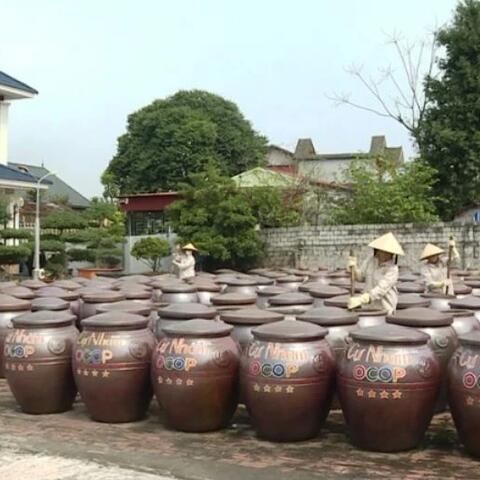 Thanh Hóa thúc đẩy OCOP: 674 sản phẩm đạt chuẩn, mở rộng kênh tiêu thụ