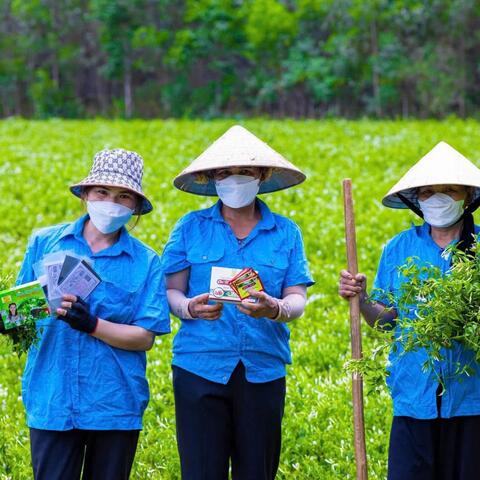 Xã Cam Lộ: Phát triển các sản phẩm OCOP