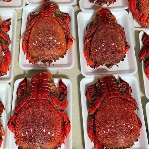 Phát triển sở hữu trí tuệ các sản phẩm lợi thế