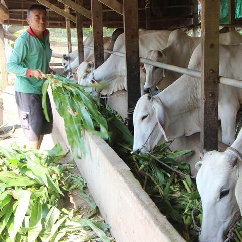 Lợi nhuận kép từ mô hình 2B