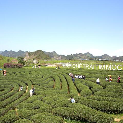 Xây dựng hệ sinh thái dịch vụ du lịch chuyên nghiệp