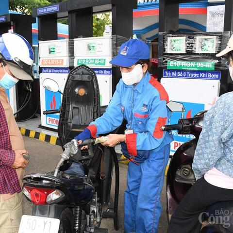 Xăng E10 - Bước đệm chiến lược cho tương lai năng lượng xanh Việt Nam
