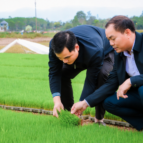 Xử lý giống cây trồng và sản phẩm OCOP nhái: Cần "lá chắn" sở hữu trí tuệ