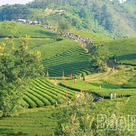 Phú Thọ đưa sản phẩm OCOP vào chuỗi giá trị du lịch