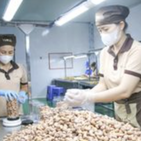 Sản phẩm OCOP và bài toán tạo sự khác biệt