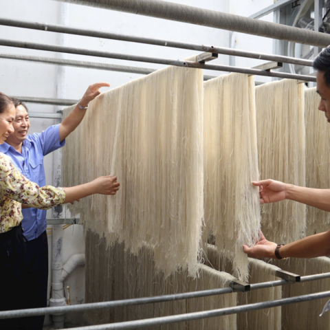 Làng nghề miến dong tăng tốc vào vụ cuối năm