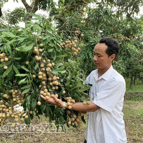 OCOP Hưng Yên: Điểm tựa từ cơ chế đến hành trình nâng tầm nông sản