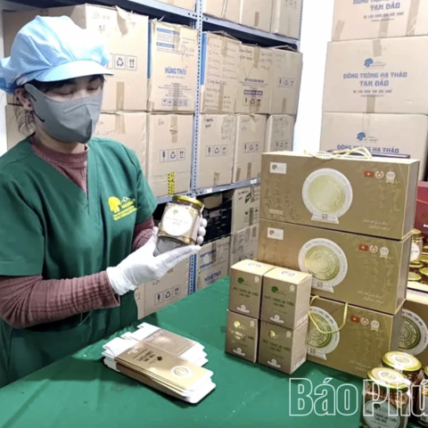 Gắn bảo vệ môi trường với phát triển sản phẩm OCOP