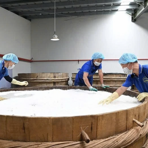 Gia tăng giá trị cho sản phẩm OCOP
