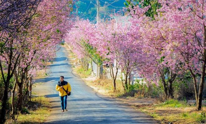 Ba loai hoa thang 1 goi khach len duong