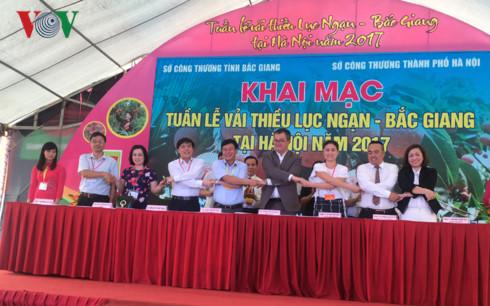 khai mac tuan le vai thieu luc ngan  bac giang tai ha noi hinh 2