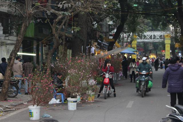 chợ hoa,chợ đồ cổ chợ hoa,chợ đồ cổ