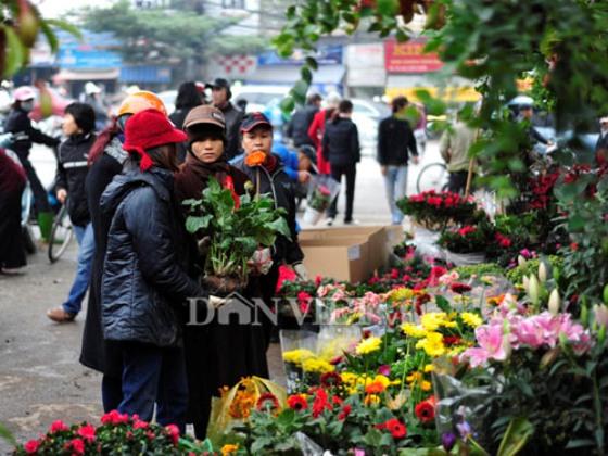 chợ hoa,chợ đồ cổ chợ hoa,chợ đồ cổ