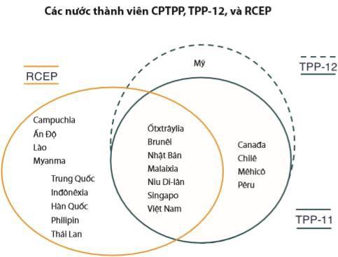 Ký kết được CPTPP, đừng vội mừng khi đến nay vẫn chưa rõ điều khoản cụ thể nào sẽ được đưa vào Hiệp định! - Ảnh 3.