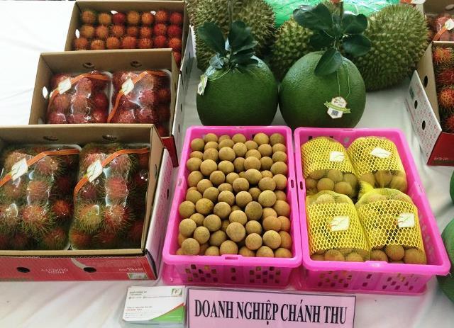 Xoài Việt xuất Mỹ giá cao gấp 3 lần Mexico: Cạnh tranh thế nào? hình ảnh 2 xoai viet xuat my gia cao gap 3 lan mexico: canh tranh the nao? hinh anh 2