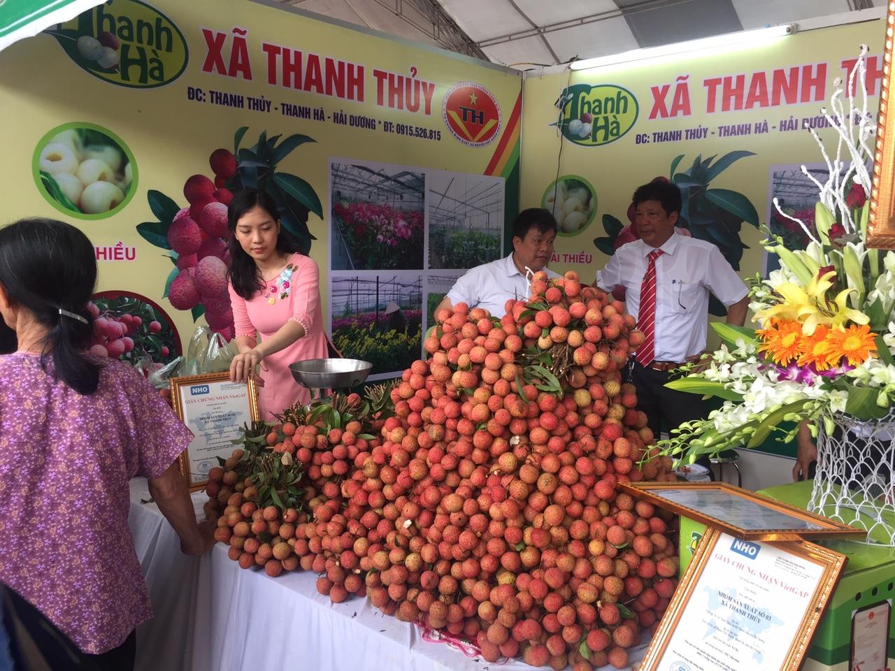 Các gian hàng trưng bày trong hội chợ